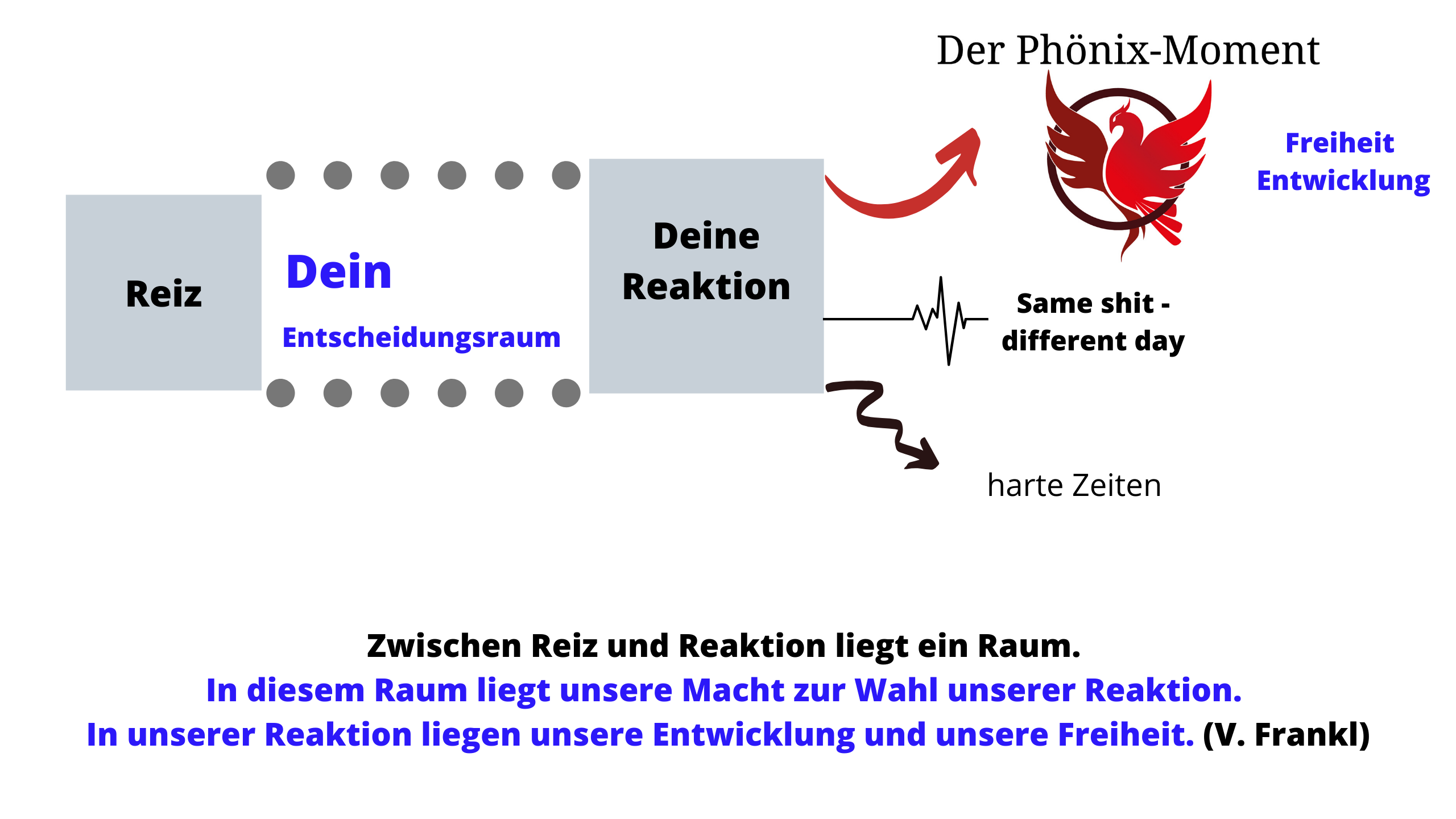 Zwischen Reiz und Reaktion liegt ein Raum. In diesem Raum liegt unsere Macht zur Wahl unserer Reaktion. In unserer Reaktion liegen unsere Entwicklung und unsere Freiheit. (V. Frankl)-3